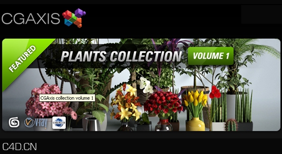 植物花卉盆景C4D模型合集 CGAxis Plants Collection [C4D] - C4D之家 - 77754016.jpg