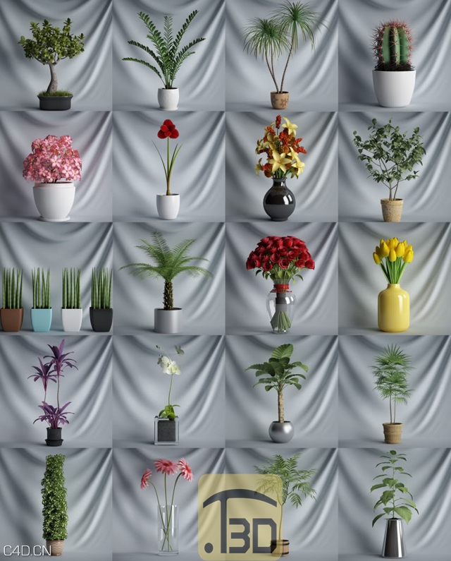 植物花卉盆景C4D模型合集 CGAxis Plants Collection [C4D] - C4D之家 - cgaxisplants[1]副本.jpg