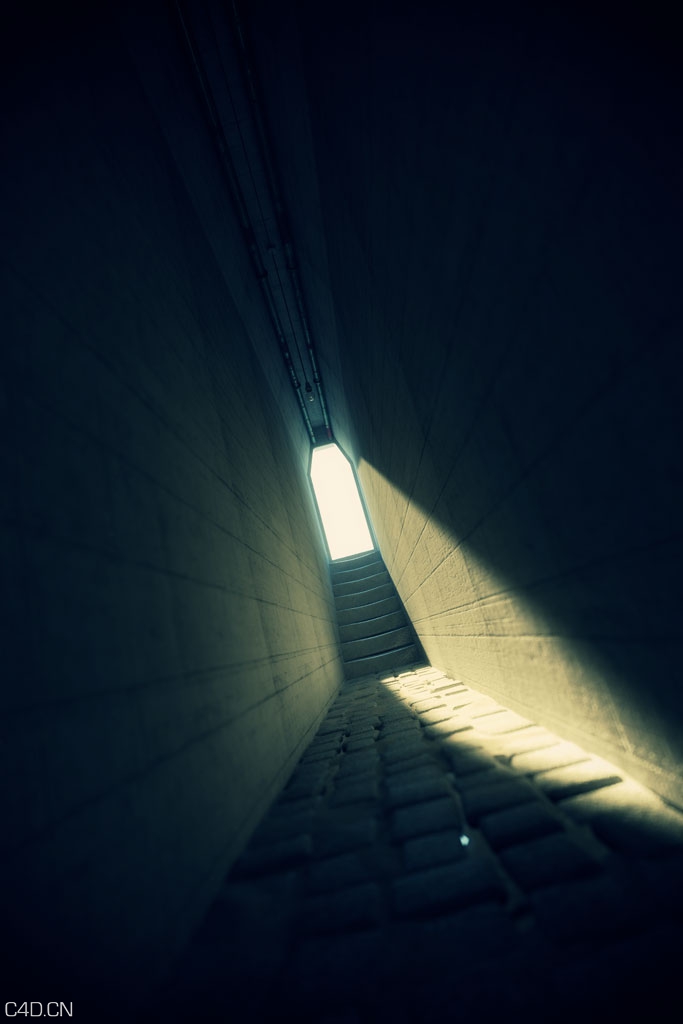 陕小的通道C4D渲染 GANG