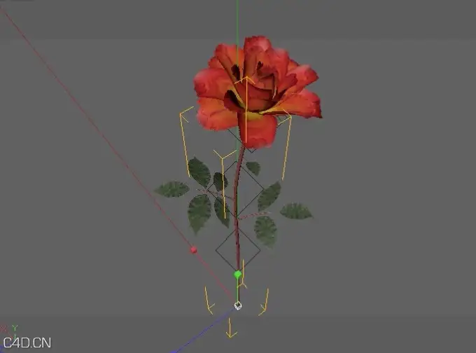C4D FOR XFROG植物生长视频教程 （共三集）