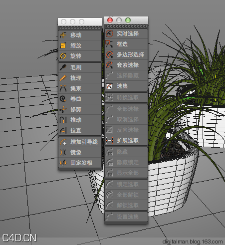 数字人C4D建模课堂之十四：两种方式制作盆花（2）