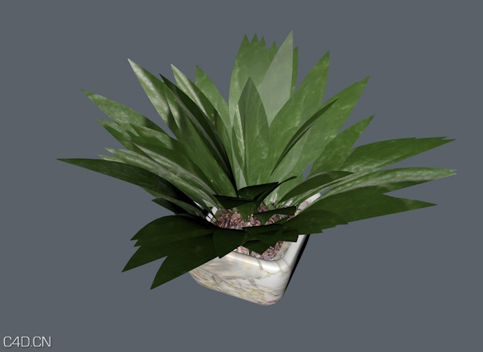 植物盆景C4D模型 - C4D之家 - cinema4d_ 2014-10-29 01.03.11.jpg