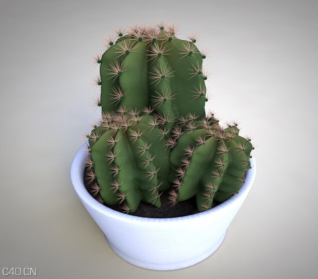 仙人球C4D模型 Celestial being