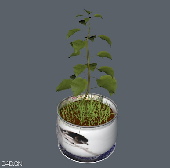 绿叶盆景植物C4D模型 - C4D之家 - cinema4d_ 2014-10-29 01.11.35.jpg