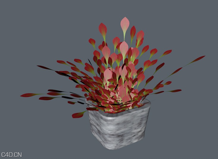 盆景植物C4D模型 - C4D之家 - cinema4d_ 2014-10-29 01.19.19.jpg