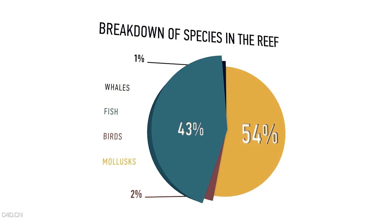 C4D三维统计数据图形动画制作视频教程 - C4D之家 - 01. Introduction and project overview_201410914441.JPG