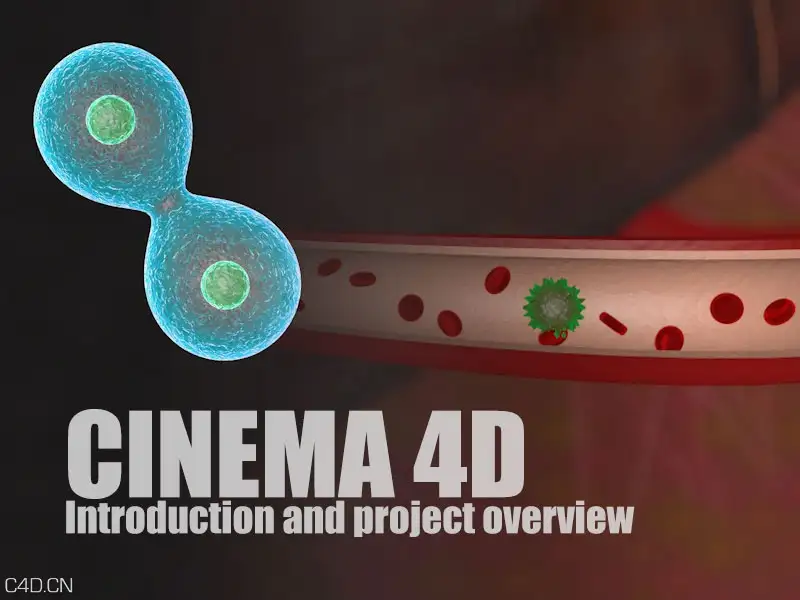 C4D细胞运动动画视频教程(含工程文件) Introduction and project overview - C4D之家 - BloodVessel0208.jpg