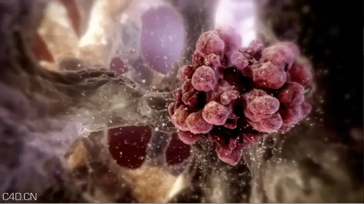 C4D医学类作品：细胞、病菌渲染作品 - C4D之家 - screenshot-2014-02-13-21-33-27.jpg