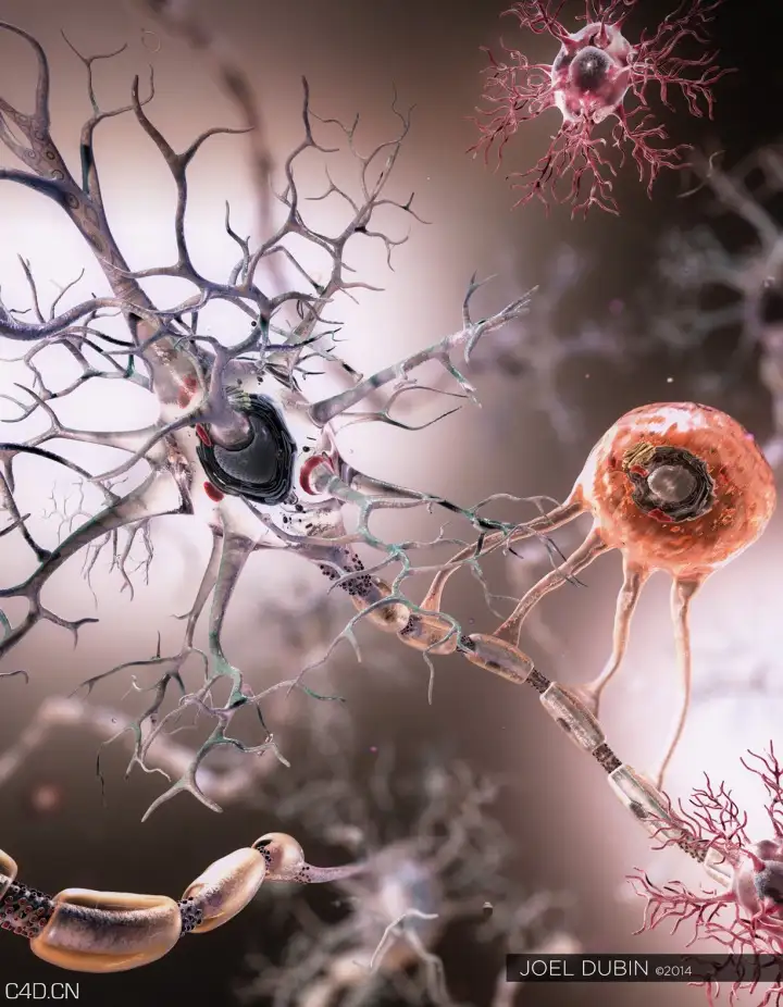 C4D医学类作品：细胞、病菌渲染作品 - C4D之家 - neuron_oligo_joel.jpg