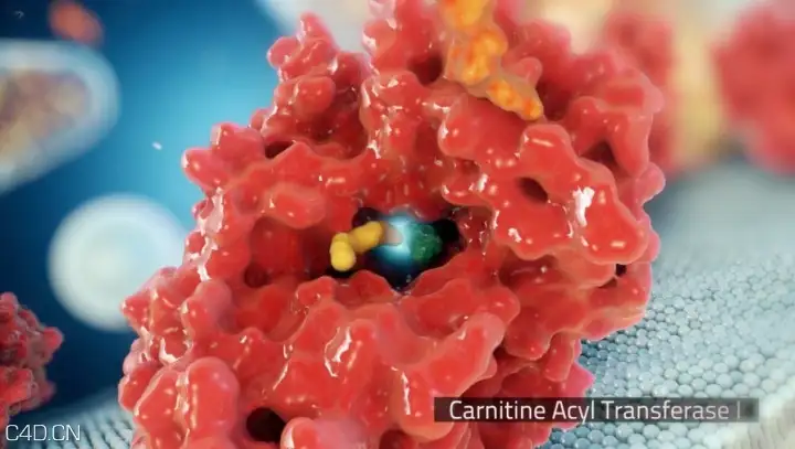 C4D医学类作品：细胞、病菌渲染作品 - C4D之家 - screenshot-2014-02-13-21-33-46.jpg