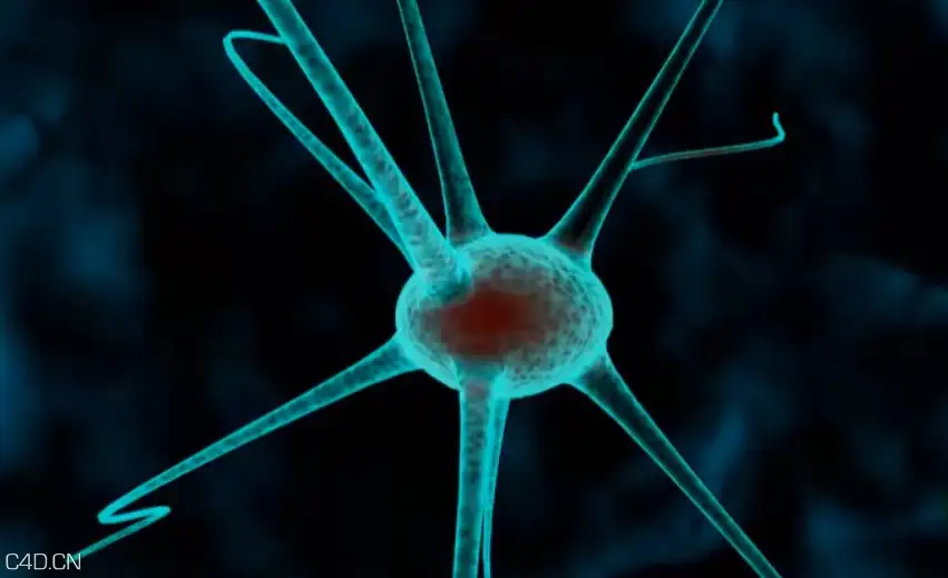 C4D神经细胞制作流程 Cinema 4D Tutorial 3D Nerve Cell