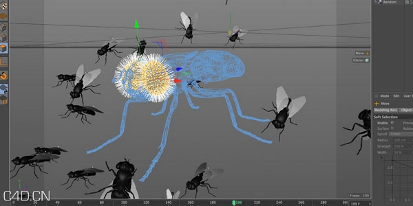 C4D创建一群苍蝇飞舞的教程 How to Create a Swarm of Flies in Cinema 4D