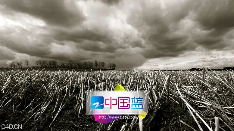 浙江卫视形象包装_YIYK - C4D之家 - 20140729120824851.jpg