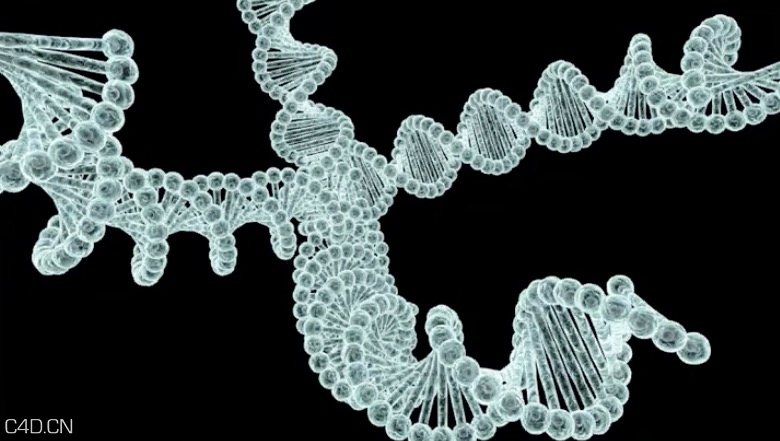 C4D制作DNA链条模型教程 MODELING DNA IN CINEMA 4D