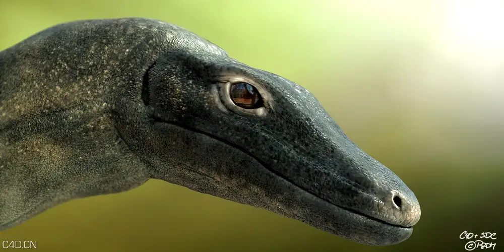 飞龙头部特写C4D渲染 Dragon head - C4D之家 - varan1.jpg