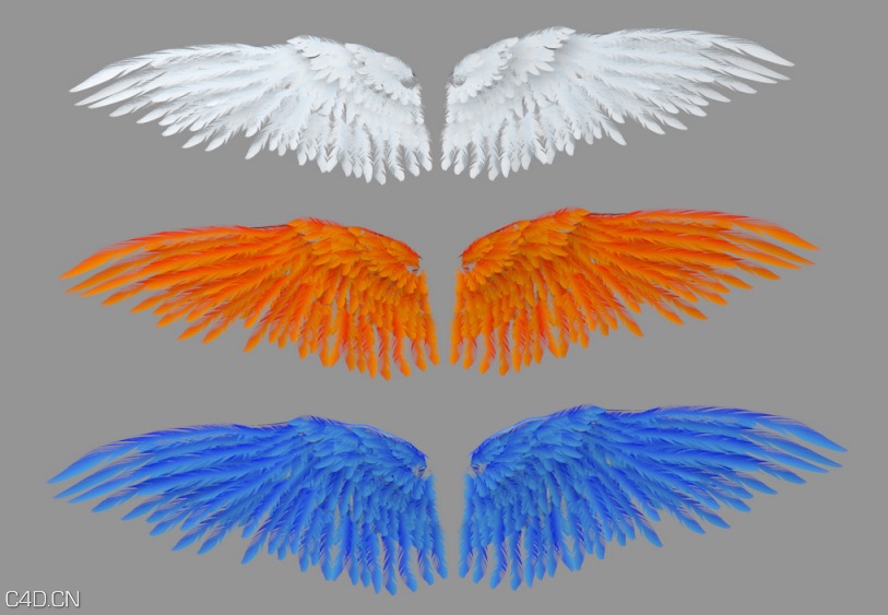 天使之翼-翅膀C4D模型 wings