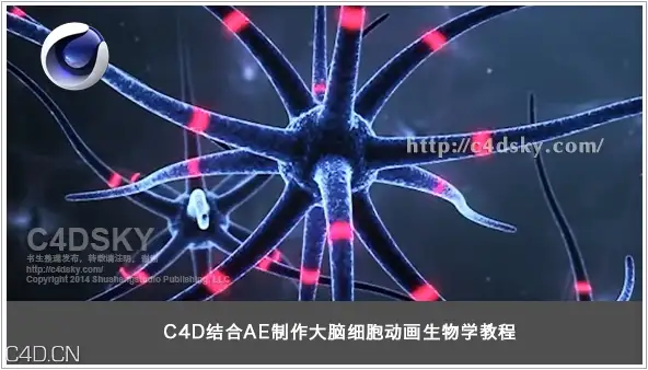 C4D结合AE制作大脑细胞活动动画生物学教程含工程文件