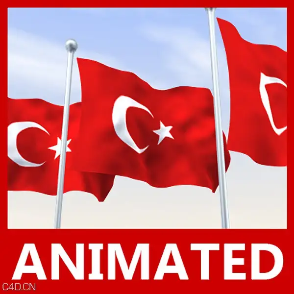 旗子C4D模型 Flag 3d models