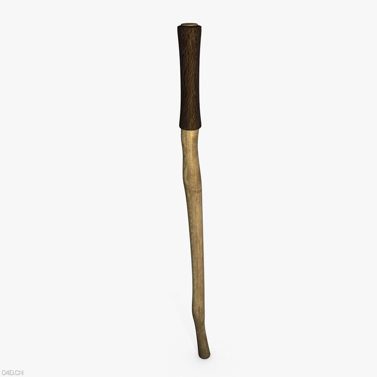 拐棍（登山杖）C4D模型 3d Hiking Stick Model - C4D之家 - picture-1.png