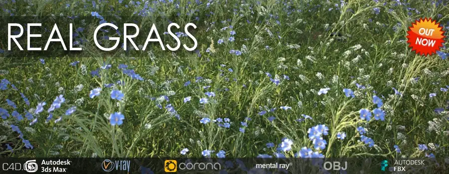 草丛花草植物预设模型库 VIZPARK Real Grass for Cinema 4D/OBJ/FBX/Modo/LightWave