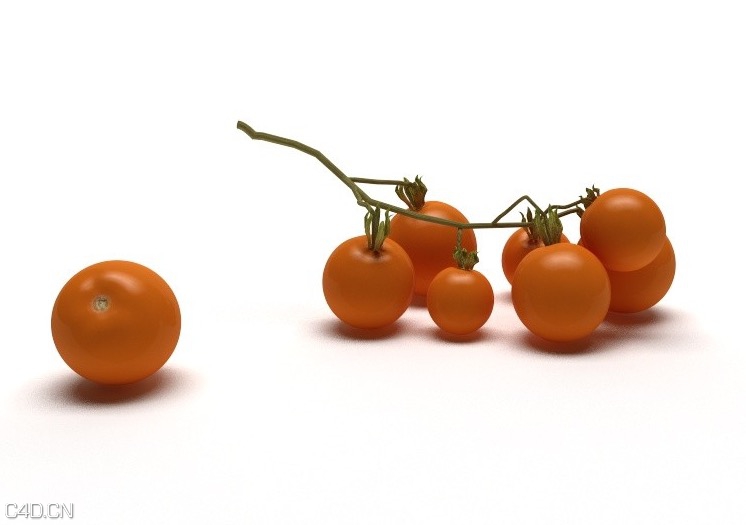 番茄C4D模型 Сiliegini - C4D之家 - cinema4d_ 2014-12-17 20.39.31.jpg