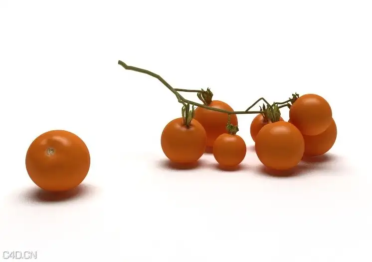 番茄C4D模型 Сiliegini - C4D之家 - cinema4d_ 2014-12-17 20.39.31.jpg