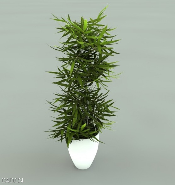盆景C4D模型 Pianta - C4D之家 - cinema4d_ 2014-12-21 18.59.34.jpg