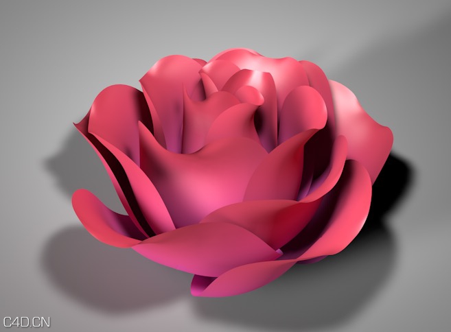 C4D花瓣绽放动画工程文件 Petals open