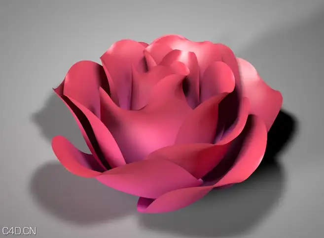 C4D花瓣绽放动画工程文件 Petals open