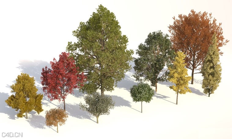 植物树木生成插件 Laubwerk Plants Kit 2 v1.012 For C4D/3DS MAX Win/Mac - C4D之家 - cinema4d_-2014-12-28-22.48.41.jpg
