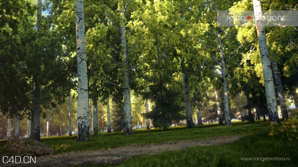C4D植物库模型|3D Plants for Cinema 4D - C4D之家 - xfrog_600_338_c1.jpg