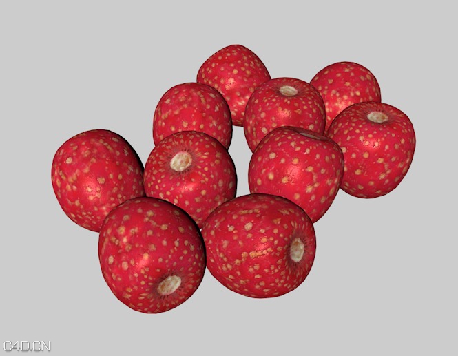 山里红/山楂C4D模型 Hawthorn - C4D之家 - cinema4d_ 2014-12-29 22.10.14.jpg