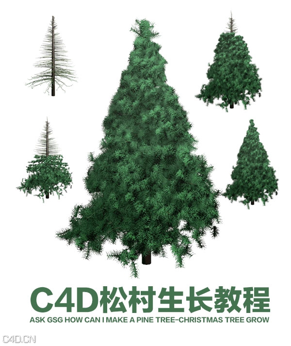 CINEMA 4D松树生长动画教程（GSG pine tree-christmas tree grow） - C4D之家 - {1FJ$_XLH A)BB@OVG)80.jpg
