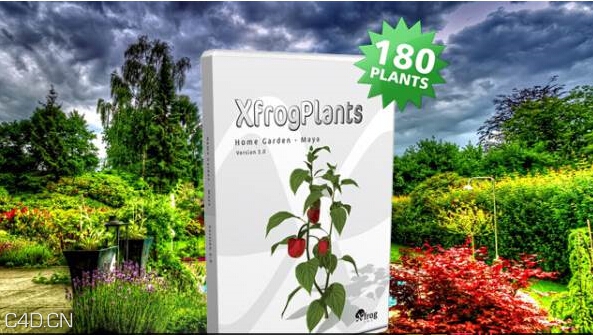 花园植物3D模型 Xfrog Plants – Home Garden