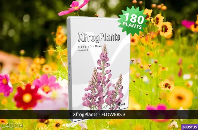 植物花朵盆栽3D模型 Xfrog Plants – Flowers 3