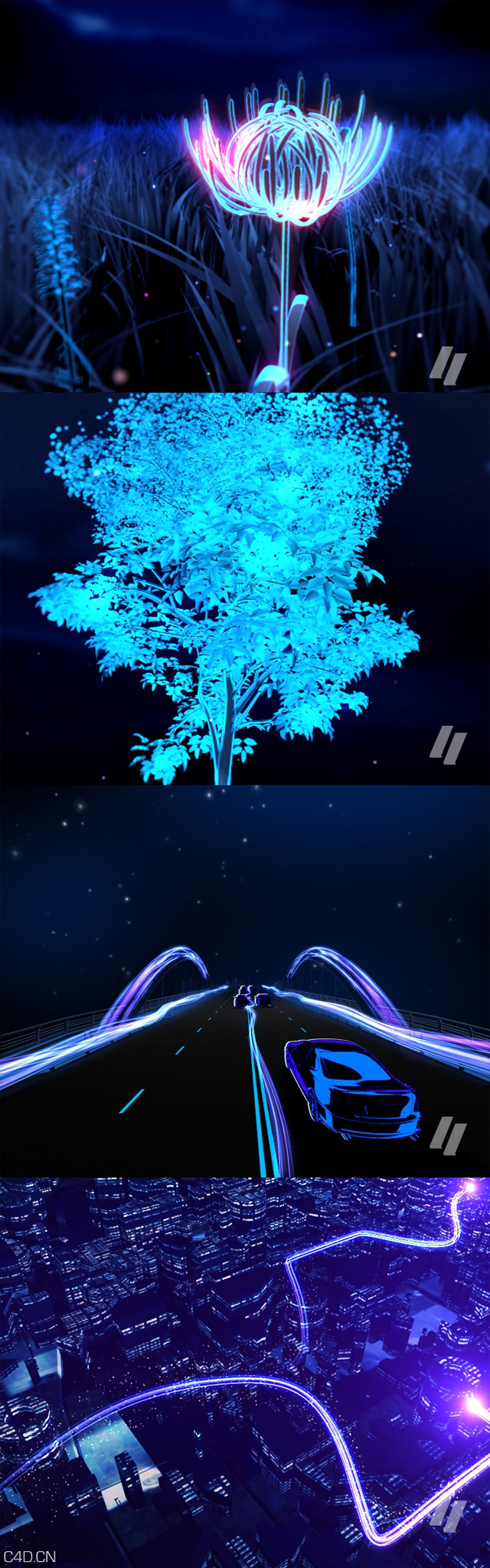 山东农业大学勘察设计院宣传片