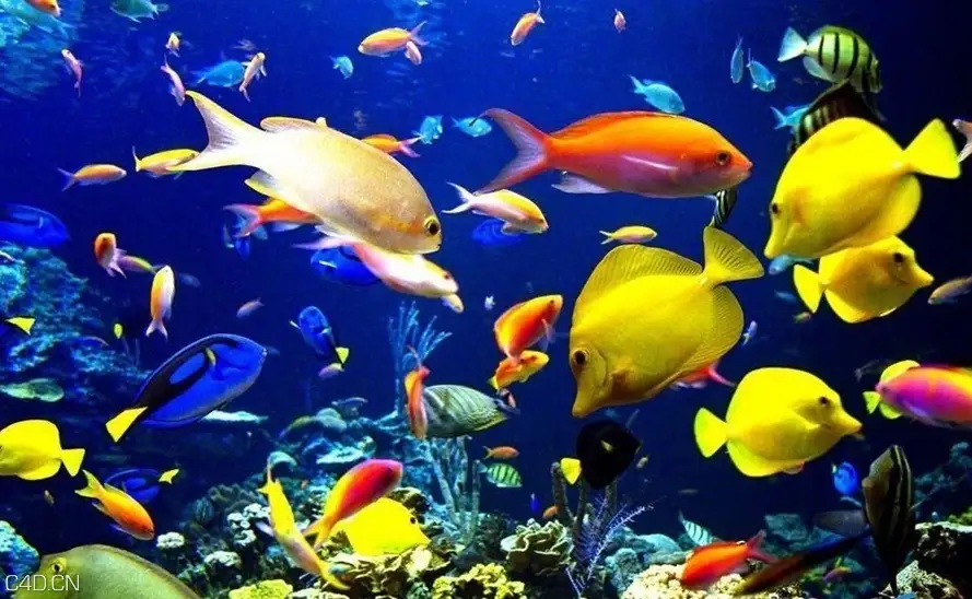 24套水族馆植物3D模型合集