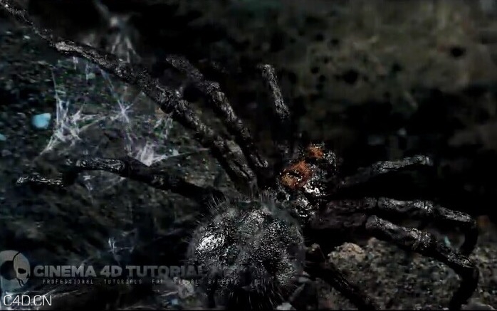 C4D+AE巨型蜘蛛建模雕刻绑定教程