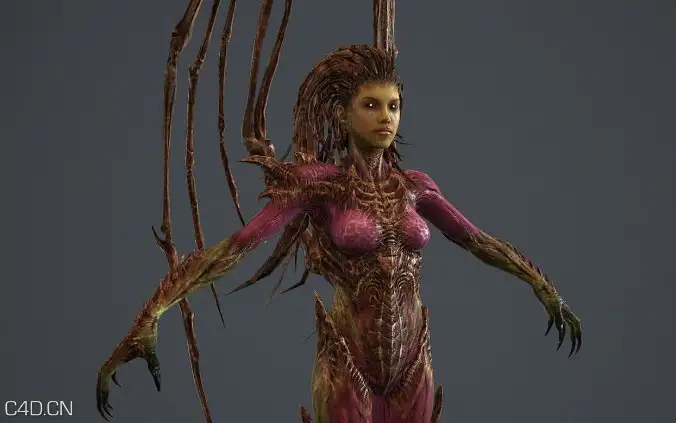星级2虫族女皇的精度3D模型（含贴图） - C4D之家 - cinema4d_ 2015-01-18 12.32.40.jpg