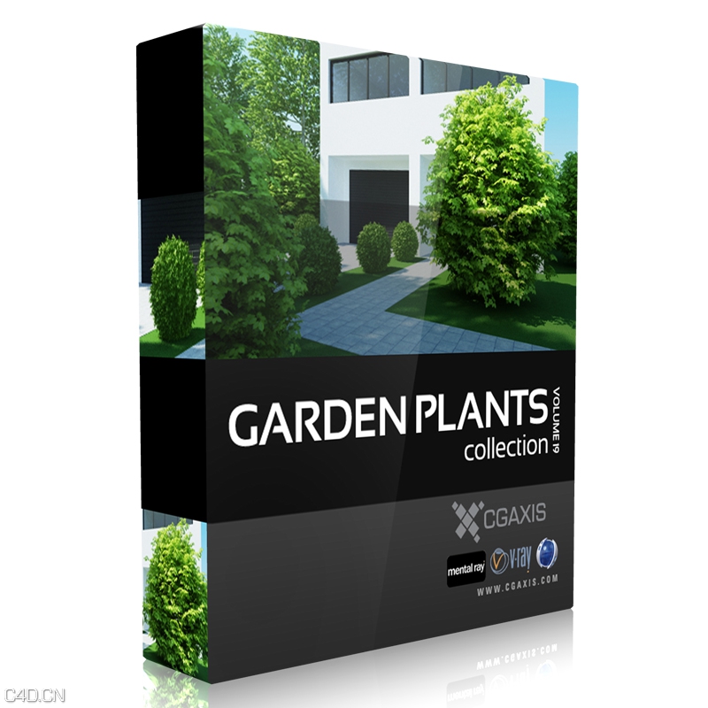 花园鲜花植物3D模型 CGAxis Models Volume 19 – Garden Plants