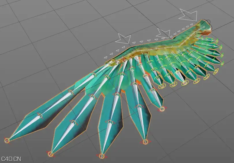 C4D鸟类翅膀绑定工程 3D models wings