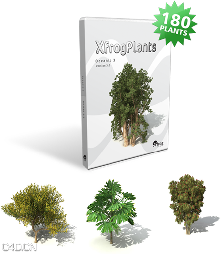 Xfrog树木3D模型：大洋洲植物树木模型合集 XfrogPlants – OCEANIA 3