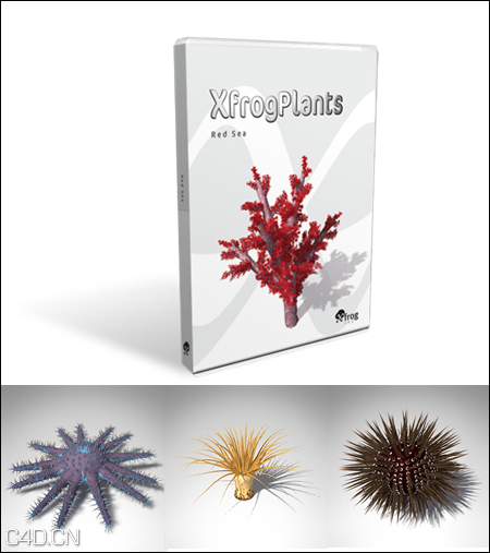 Xfrog植物3D模型之红海生物、植物合集 XfrogPlants – RED SEA
