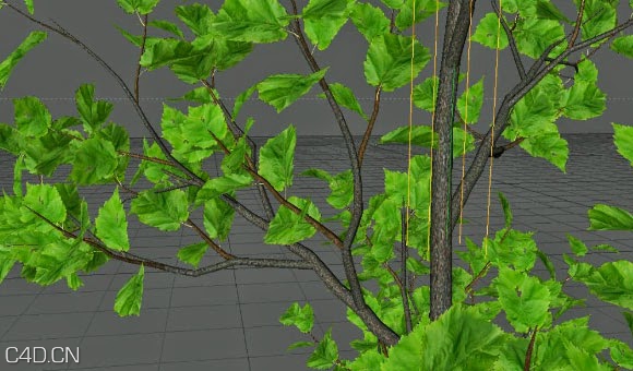 C4D树木生长教程 Animating Tree Growth using Xfrog - C4D之家 - Cinema-4D-Animating-Tree-Growth-using-Xfrog-Tutorial.jpg