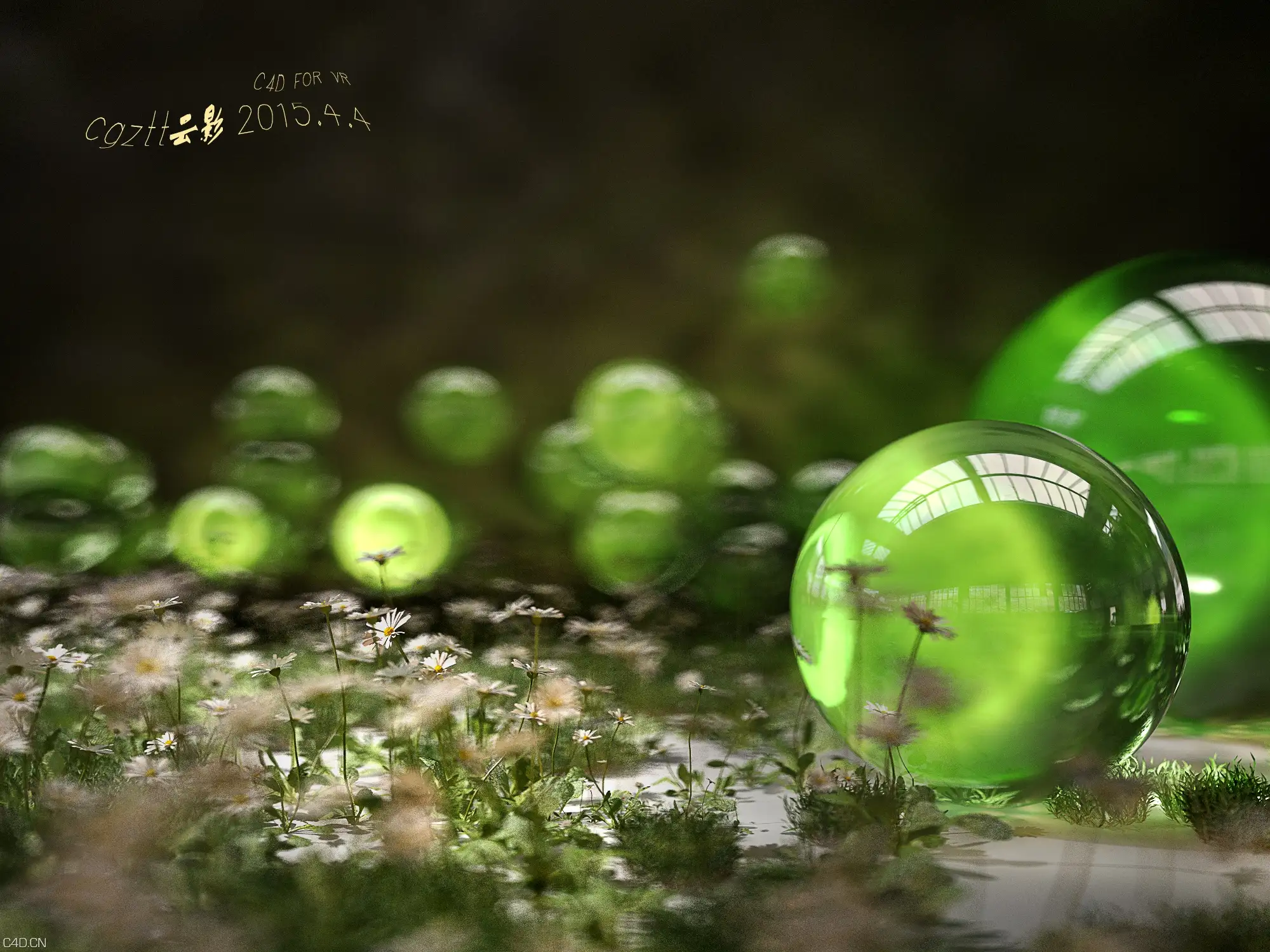 C4D FOR Vray 渲染景深 ，焦散，效果器，菊花，草地， - C4D之家 - C4D FOR VR