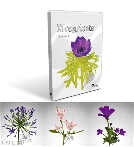 花卉3D模型 XfrogPlants – FLOWERS 2 3D花模型 - C4D之家 - 3266011ff9716c5c6e9b58a6dff9a7fc.png