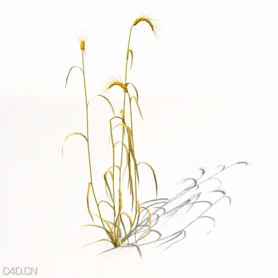 农作物3D模型 XfrogPlants – AGRICULTURE