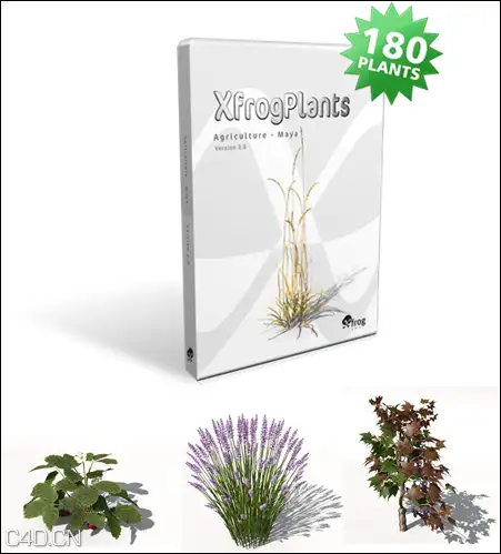 农作物3D模型 XfrogPlants – AGRICULTURE - C4D之家 - 98c3a0aab011950502567af4d513d914.png