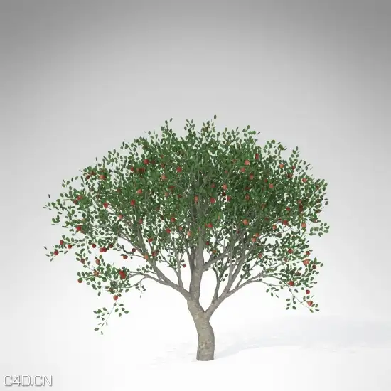 20种果树3D模型 XfrogPlants – FRUIT TREES - C4D之家 - FR09a-apple_550x550_2.jpg