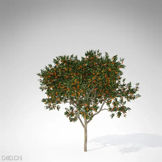 20种果树3D模型 XfrogPlants – FRUIT TREES